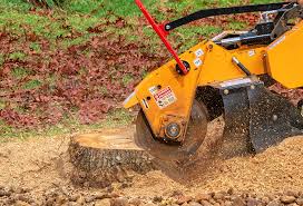 Landscape Design and Installation in Amherst, VA